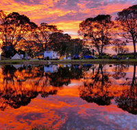 Coonawarra Bush Holiday Park - Coogee Beach Accommodation