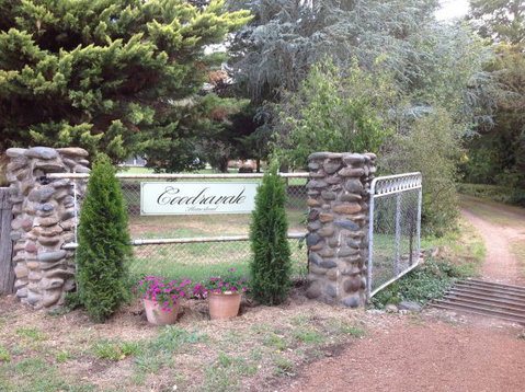 Coodravale Homestead - Coogee Beach Accommodation 5