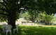 Coodravale Homestead - thumb 6