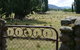 Coodravale Homestead - thumb 7