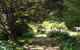 Coodravale Homestead - thumb 8