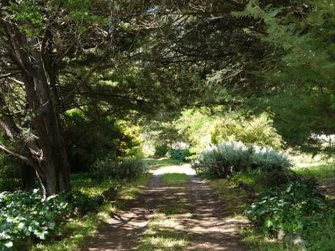 Coodravale Homestead - Coogee Beach Accommodation 8