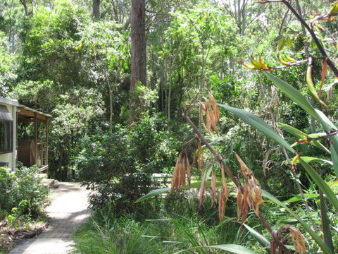 Dunns Creek Downs Nature Stay - Coogee Beach Accommodation 0