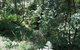 Dunns Creek Downs Nature Stay - thumb 2