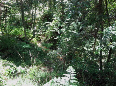 Dunns Creek Downs Nature Stay - Coogee Beach Accommodation 2