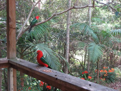 Dunns Creek Downs Nature Stay - Coogee Beach Accommodation 4