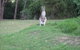 Dunns Creek Downs Nature Stay - thumb 6
