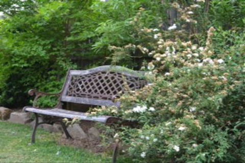 Garden Cottage B And B - Coogee Beach Accommodation 4
