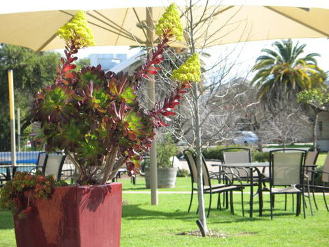 Golden Chain Wine Village Motor Inn - Coogee Beach Accommodation 3