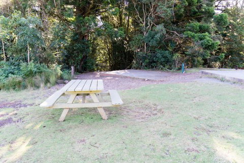 Lamington National Park Camping Ground - Coogee Beach Accommodation 2