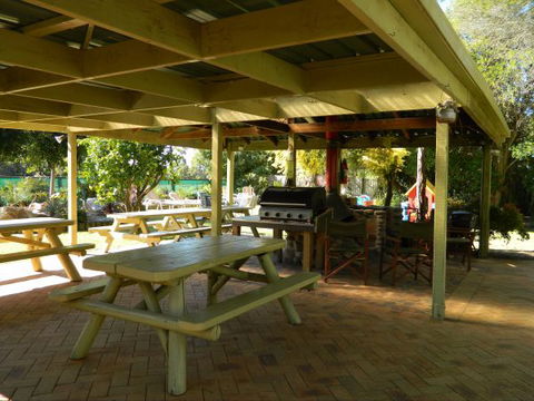 Melaleuca Grove Holiday Units & Motor Inn - Coogee Beach Accommodation 4