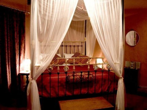 Morella House - Coogee Beach Accommodation 1