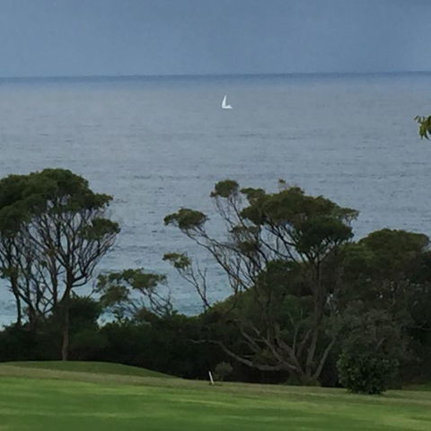 Narooma Top Spot - Coogee Beach Accommodation 1