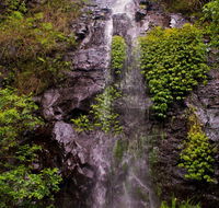 Nimbin waterfall retreat - Coogee Beach Accommodation