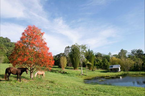 Nimbin Waterfall Retreat - Coogee Beach Accommodation 1
