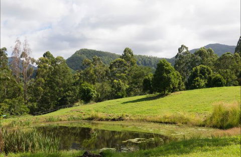 Nimbin Waterfall Retreat - Coogee Beach Accommodation 3