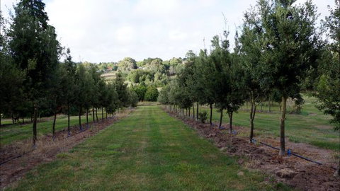 Oakhill Cottage - Coogee Beach Accommodation 6