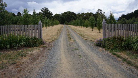 Oakhill Cottage - Coogee Beach Accommodation 7