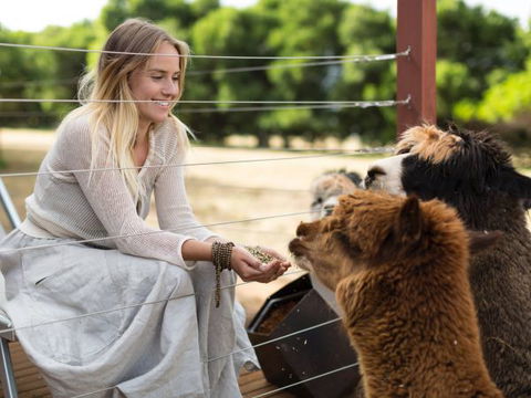 Samadhi Spa And Wellness Retreat - Coogee Beach Accommodation 7