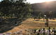Shearer's Hill - Luxury Farm Stay - thumb 9