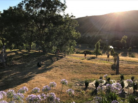 Shearer's Hill - Luxury Farm Stay - Coogee Beach Accommodation 9