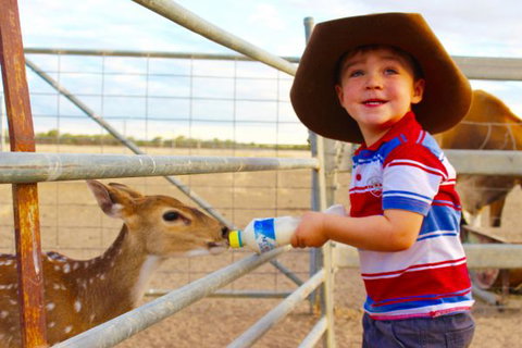 Shandonvale Station - Coogee Beach Accommodation 9