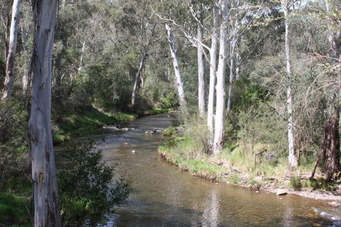 Stockyard Creek - Coogee Beach Accommodation 2