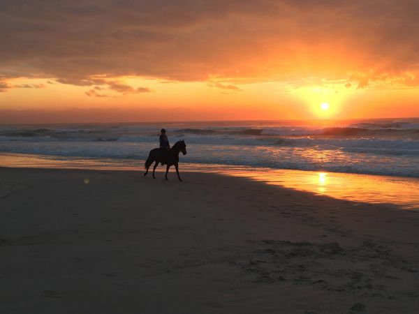 Empire Vale NSW Coogee Beach Accommodation