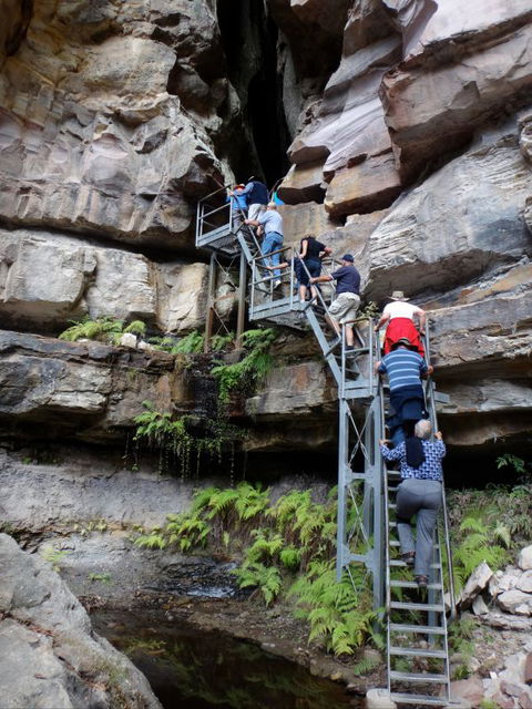 Takarakka Bush Resort Carnarvon Gorge - Coogee Beach Accommodation 0