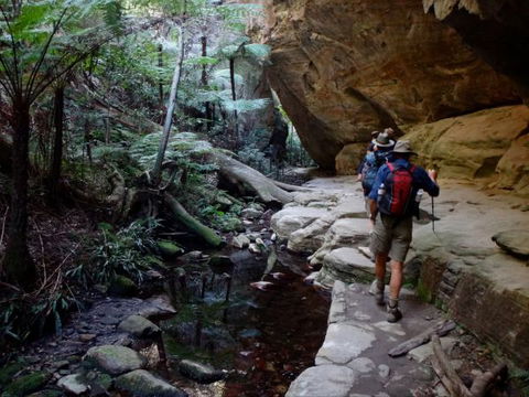 Takarakka Bush Resort Carnarvon Gorge - Coogee Beach Accommodation 6