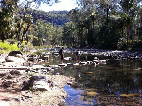 Takarakka Bush Resort Carnarvon Gorge - Coogee Beach Accommodation 9