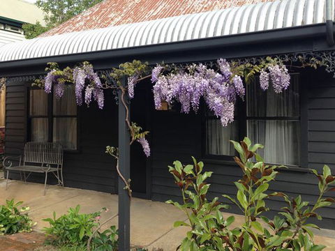 The Gold House - Coogee Beach Accommodation 0