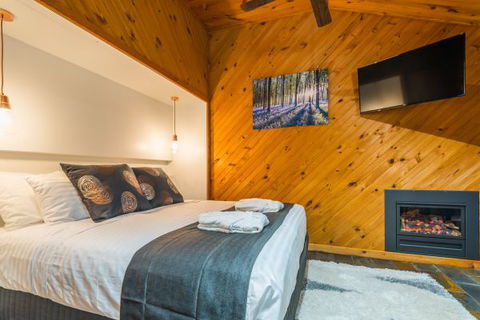 Waterfall Springs Retreat And Wildlife Sanctuary - Coogee Beach Accommodation 2