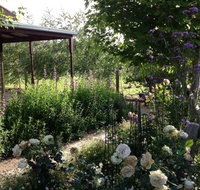 Wandana Bed and Breakfast - Coogee Beach Accommodation