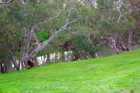 Yalooka Farm - Coogee Beach Accommodation 4