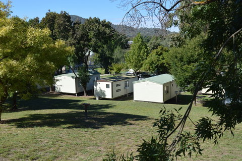 Adelong Golden Gully Caravan Park - Coogee Beach Accommodation 1