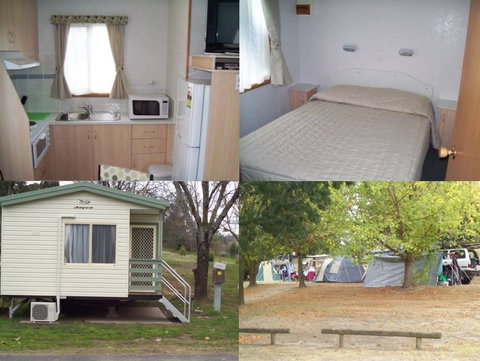 Adelong Golden Gully Caravan Park - Coogee Beach Accommodation 4