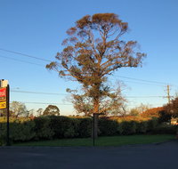 Alfred Motor Inn - Coogee Beach Accommodation