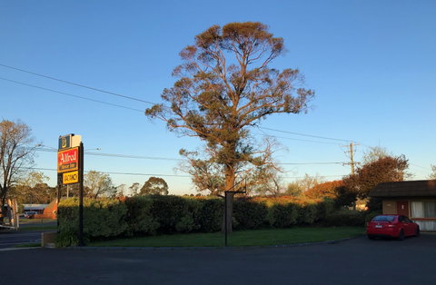 Alfred Motor Inn - Coogee Beach Accommodation 0