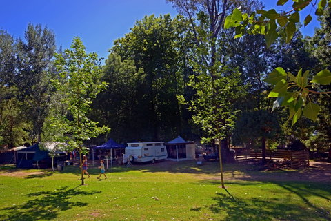 Ardern's Caravan Park Myrtleford - Coogee Beach Accommodation 0