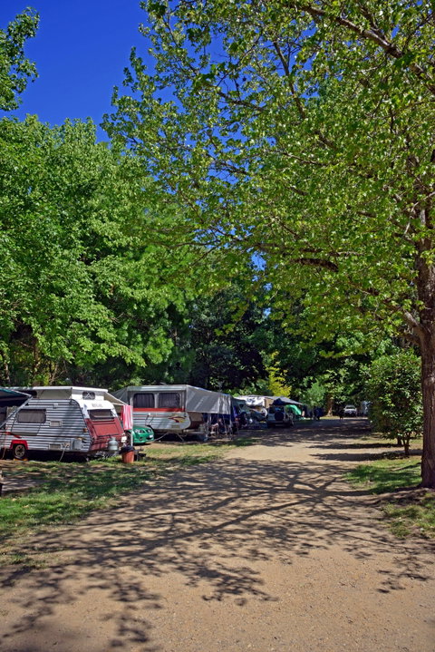 Ardern's Caravan Park Myrtleford - Coogee Beach Accommodation 1