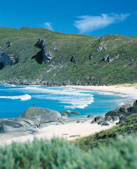 Banksia Camp At D'Entrecasteaux National Park - Coogee Beach Accommodation 0