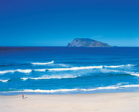 Banksia Camp At D'Entrecasteaux National Park - Coogee Beach Accommodation 1