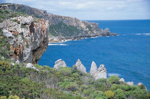 Banksia Camp At D'Entrecasteaux National Park - Coogee Beach Accommodation 2