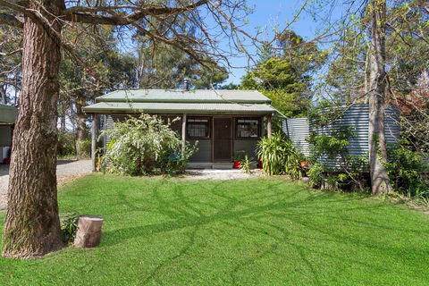Blue Apple Lodge - Coogee Beach Accommodation 2