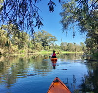 Boynedale Bush Camp - Coogee Beach Accommodation