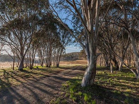 Bullocks Hill Campground - Coogee Beach Accommodation 4