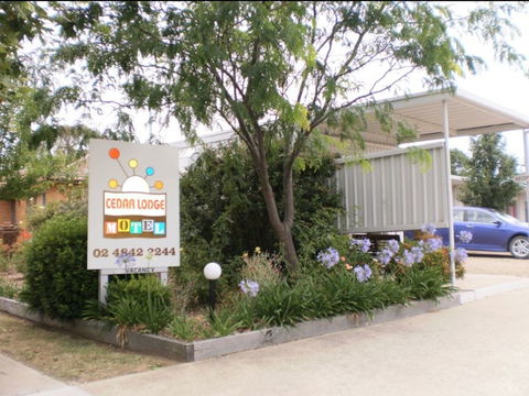 Cedar Lodge Motel - Coogee Beach Accommodation 0