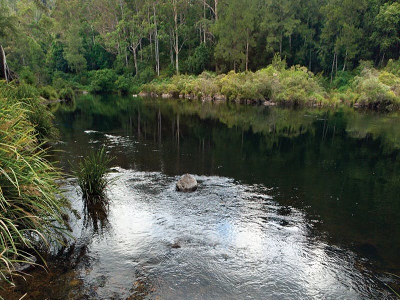 Wild Cattle Creek NSW Coogee Beach Accommodation