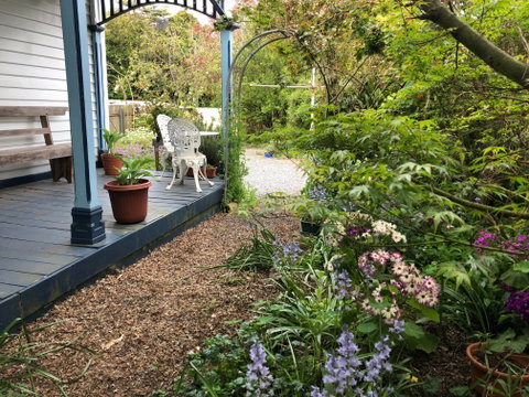 Devonport Bed And Breakfast - Coogee Beach Accommodation 1